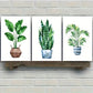 3pcs Botanical Art Potted Plant Poster Dormitory Metal Print Ready to Hang Art