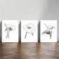 3pcs Minimalist Tropical Wildflower Plant Wall Art Set Canvas Framed 40x60cm - High Quality Print 100% Australian Made Wall Canvas Ready to Hang