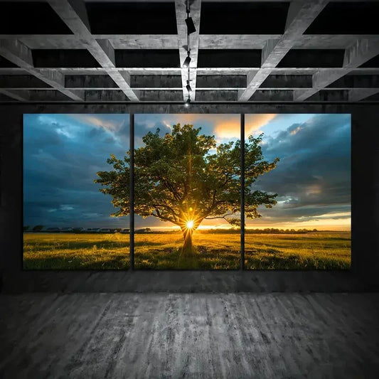 3pcs Tree In The Middle Of An Open Area Metal Print Ready to Hang Art