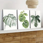 3pcs Modern Fresh Green Leaves White Light Green Wall Art Set Canvas Framed 40x60cm - High Quality Print 100% Australian Made Wall Canvas Ready to Hang
