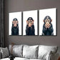 3pcs Playful Chimpanzee Expressions Wall Art Set Canvas Framed 40x60cm - High Quality Print 100% Australian Made Wall Canvas Ready to Hang