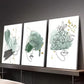 3pcs Abstract Green Sage Line Face Shape Wall Art Set Canvas Framed 40x60cm - High Quality Print 100% Australian Made Wall Canvas Ready to Hang