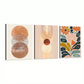 3pcs Boho Chic Wall Art Set, Abstract Line Drawing & Floral Canvas Framed 40x60cm - High Quality Print 100% Australian Made Wall Canvas Ready to Hang