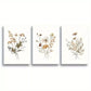 3pcs Boho Botanical with Vintage Green Leaves Canvas Framed 40x60cm - High Quality Print 100% Australian Made Wall Canvas Ready to Hang