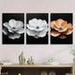 3pcs Elegant Floral White and Orange Flowers Metal Print Ready to Hang Art