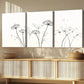 3pcs Queen Annes White Black Liner Florals Wall Art Set Canvas Framed 40x60cm - High Quality Print 100% Australian Made Wall Canvas Ready to Hang