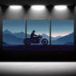 3pcs Vibrant Motorcycle Rider Canvas Framed 40x60cm - High Quality Print 100% Australian Made Wall Canvas Ready to Hang
