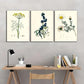 3pcs Minimalist Floral & Herbal Designs Metal Print Ready to Hang Art