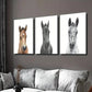 3pcs Brown Black White Pony Decoration Wall Art Set Canvas Framed 40x60cm - High Quality Print 100% Australian Made Wall Canvas Ready to Hang