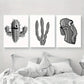 3pcs Black and White Cactus Desert Metal Print Ready to Hang Art