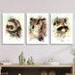 3pcs Watercolor Ferret Raccoon Owl, Animal   Metal Print Ready to Hang Art