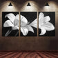 3pcs Florals White & Black Lily Metal Print Ready to Hang Art