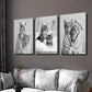 3pcs Adorable Black and White Cat Wall Art Set Canvas Framed 40x60cm - High Quality Print 100% Australian Made Wall Canvas Ready to Hang