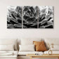 3pcs Blooming White Rose Succulent Floral Metal Print Ready to Hang Art