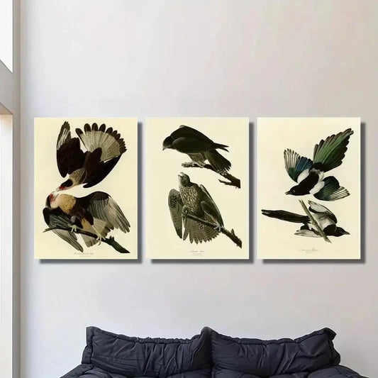 3pcs Vintage Australian Birds Metal Print Ready to Hang Art