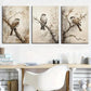 3pcs Vintage Style Bird Metal Print Ready to Hang Art