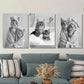 3pcs Adorable Black and White Cat Wall Art Set Canvas Framed 40x60cm - High Quality Print 100% Australian Made Wall Canvas Ready to Hang