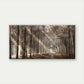 Misty Trees and Sunlit Pathway Wall Art Canvas Office Home Room Framed 120x60cm