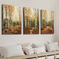 3pcs Autumnal Birch Trees & Fall Foliage Wall Art Set Canvas Framed 40x60cm - High Quality Print 100% Australian Made Wall Canvas Ready to Hang