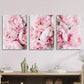 3pcs Elegant Pink Peony Nordic Style Metal Print Ready to Hang Art