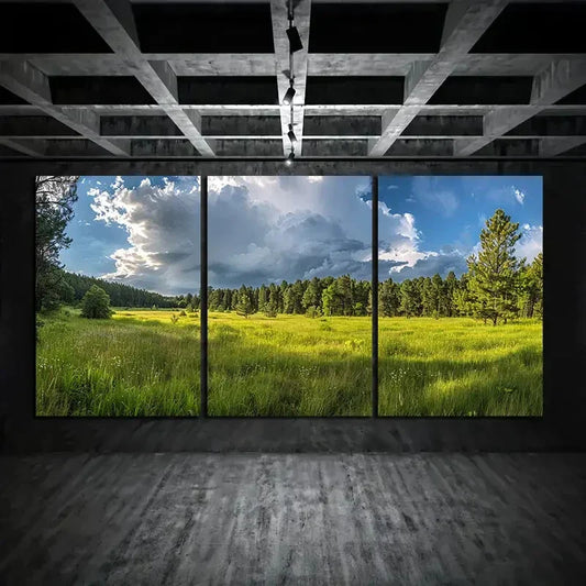3pcs Black Forest Thunderstorm Nature Metal Print Ready to Hang Art