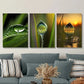 3pcs Beautiful Water, water drops on sunset  Metal Print Ready to Hang Art