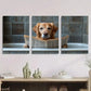 3pcs Labrador Retriever Reading Newspaper Metal Print Ready to Hang Art