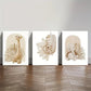 3pcs Cartoon Giraffe Bear Elephant Metal Print Ready to Hang Art