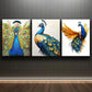 3pcs A Beautiful Peacock Perfect Colorful Wall Art Set Canvas Framed 40x60cm - High Quality Print 100% Australian Made Wall Canvas Ready to Hang