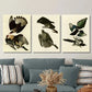 3pcs Vintage Australian Birds Metal Print Ready to Hang Art