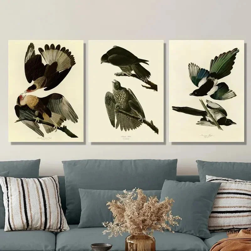 3pcs Vintage Australian Birds Metal Print Ready to Hang Art