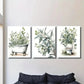 3pcs Botanical Bathroom Watercolor Murals Metal Print Ready to Hang Art
