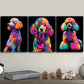 3pcs The Glitzy Poodle Art Painting Metal Print Ready to Hang Art