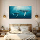 Whale Mother And Young Wall Art Canvas Office Home Room Framed 80x45cm