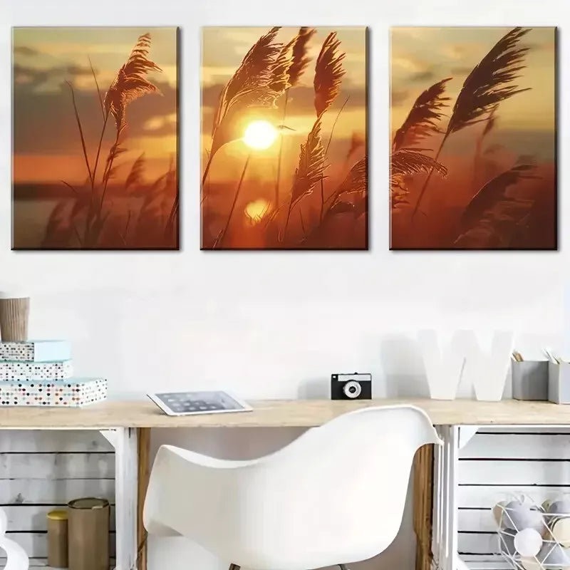 3pcs Nature Grasses & Sunset View Canvas Framed 40x60cm - High Quality Print 100% Australian Made Wall Canvas Ready to Hang