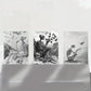 3pcs Skeleton Black and White Birds Metal Print Ready to Hang Art