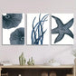3pcs painting of marine life, watercolor art, Metal Print Ready to Hang Art
