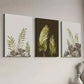 3pcs Modern Style Simple Natural Plant Leaf Wall Art Set Canvas Framed 40x60cm - High Quality Print 100% Australian Made Wall Canvas Ready to Hang
