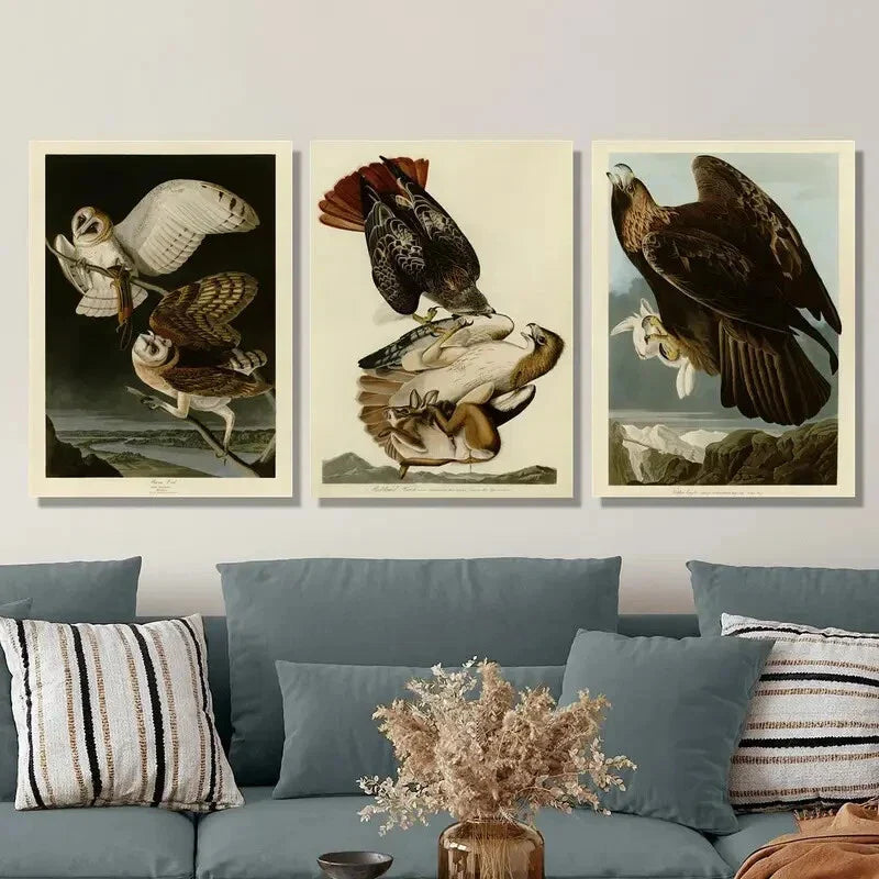 3pcs Vintage Style Birds Illustration, Metal Print Ready to Hang Art