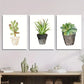 3pcs Cartoon Succulent &amp; Cactus Metal Print Ready to Hang Art