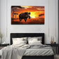 Savanna Fierce Wild Boar Wheat Wall Art Canvas Office Home Room Framed 120x60cm