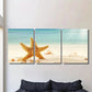 3pcs Beach Starfish Metal Print Ready to Hang Art