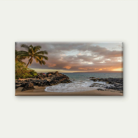 Rock Beach Palm Tree & Ocean Horizon Wall Art Canvas Office Home Framed 80x45cm
