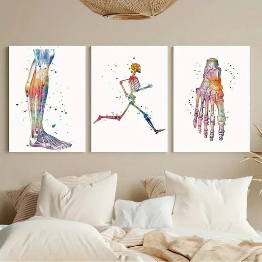 3pcs Watercolor Anatomy Vibrant Human Muscle Metal Print Ready to Hang Art