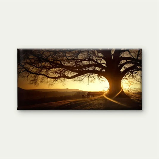 Trees The Sun Shining Narure Wall Art Canvas Office Home Room Framed 80x45cm