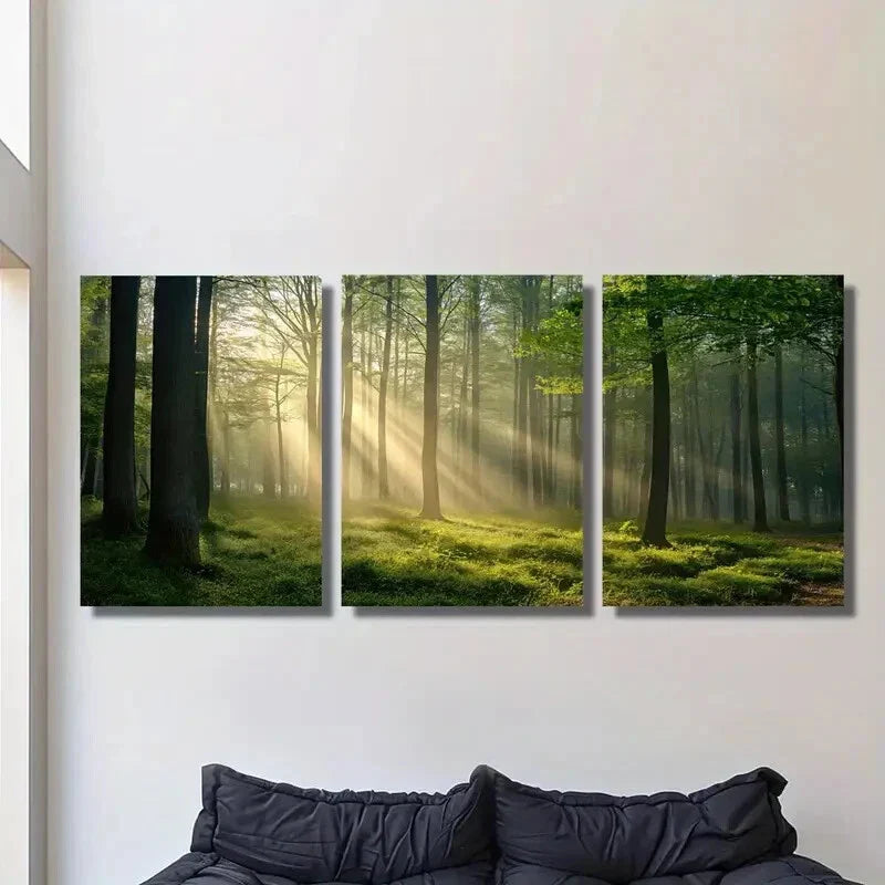 3pcs Sunlight Shining Through Green Forest, Metal Print Ready to Hang Art