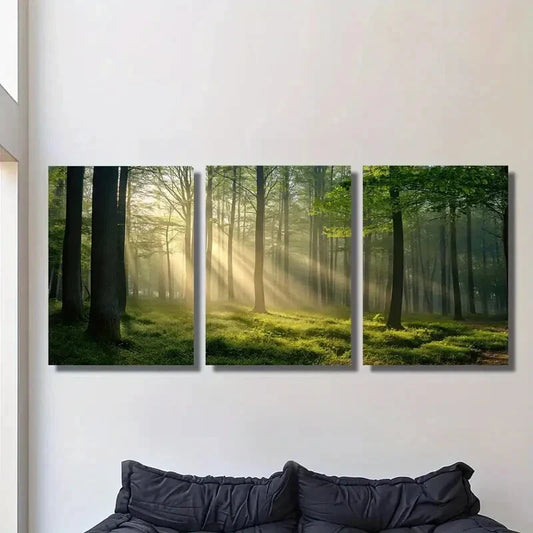 3pcs Sunlight Shining Through Green Forest, Metal Print Ready to Hang Art
