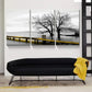 3pcs Black and White Tree & Golden Bridge   Metal Print Ready to Hang Art