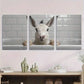 3pcs Whimsical Donkey Humorous Animal Metal Print Ready to Hang Art
