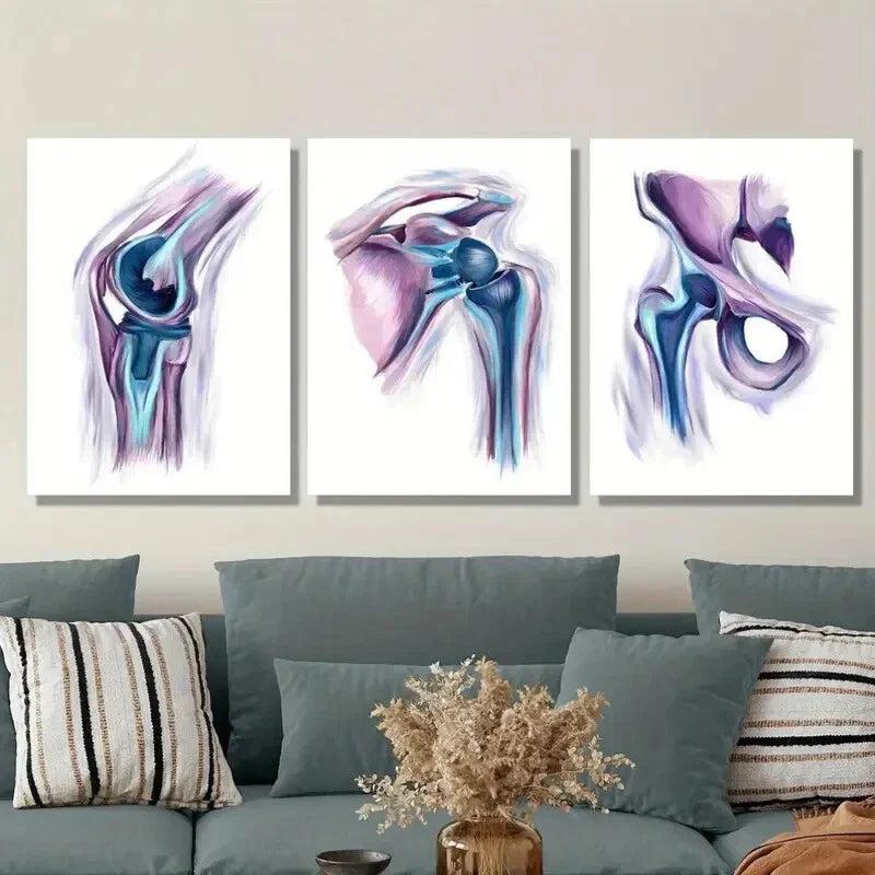 3pcs Modern Shoulder Anatomy, Metal Print Ready to Hang Art